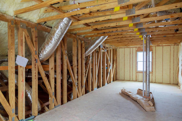 Best Commercial Insulation in Roma, TX
