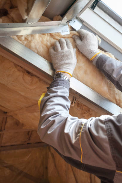 Best Insulation Maintenance and Repair in Roma, TX