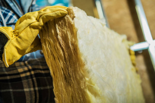 Best Residential Insulation in Roma, TX